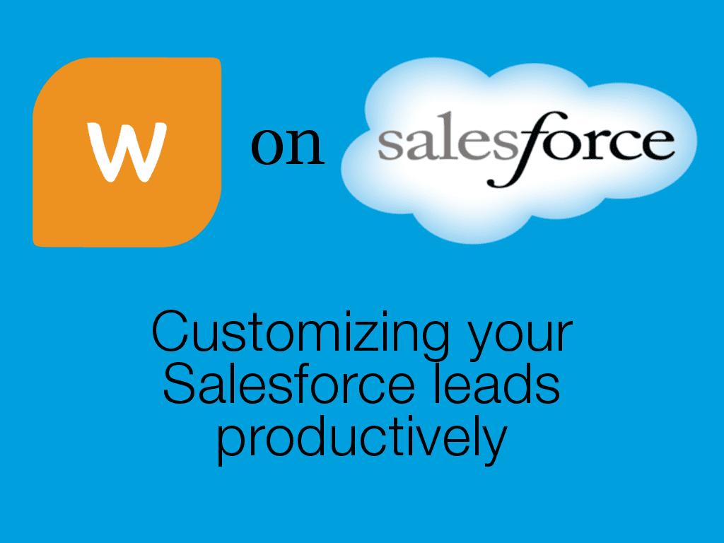 Salesforce 101 - Customizing your Salesforce leads productively 