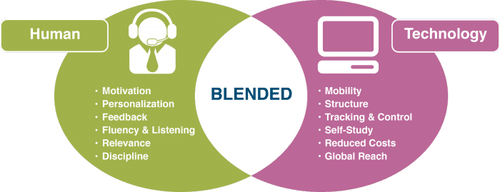 blended learning_user assistance