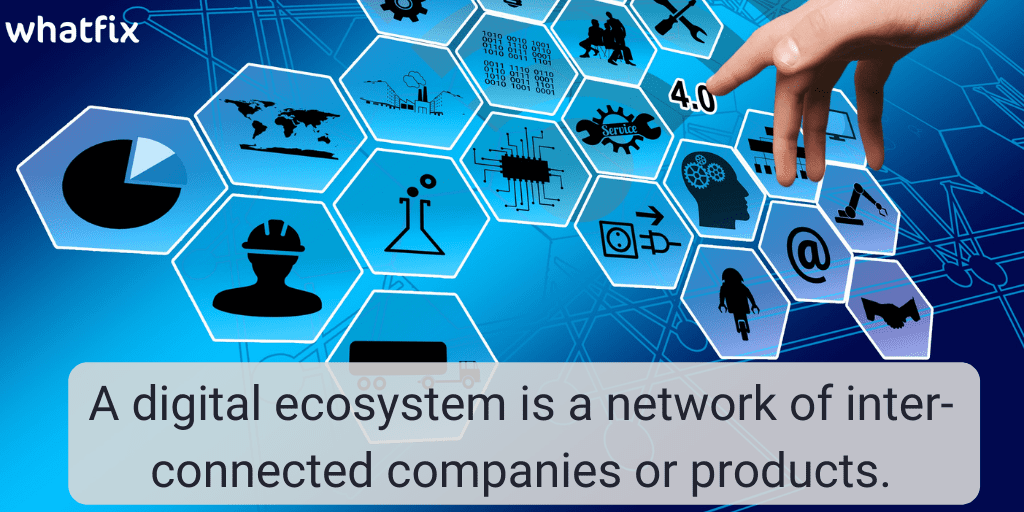 What is a Digital Ecosystem, and How Can It Help Your Business