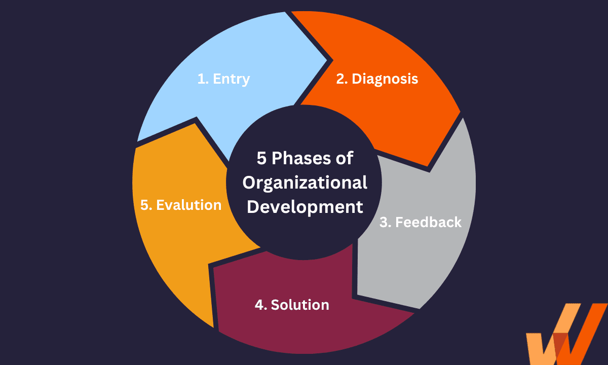 5 Phases Of Organizational Development Goals And Interventions 1152