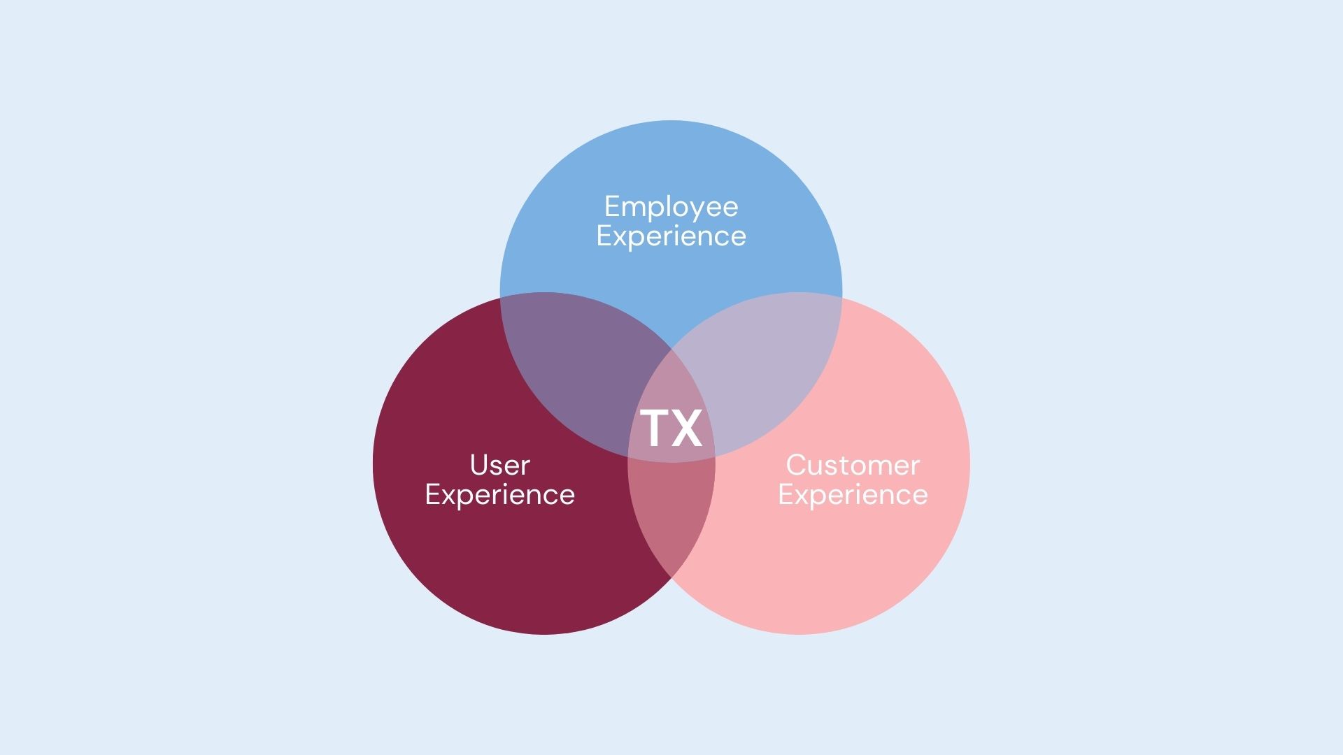 total-experience-tx