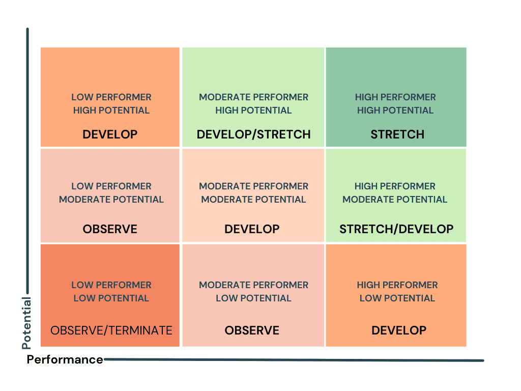 9-box grid - development plan