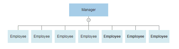 centralized organizational structure example