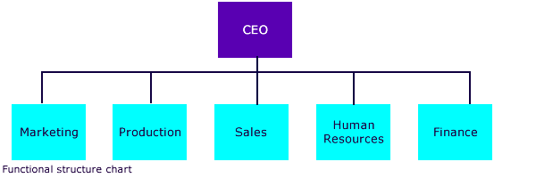 business organizational chart starbucks