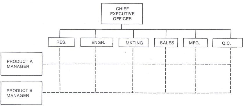 Organizational Structure