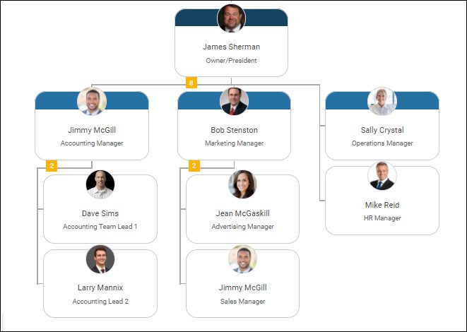 management team and company structure in business plan